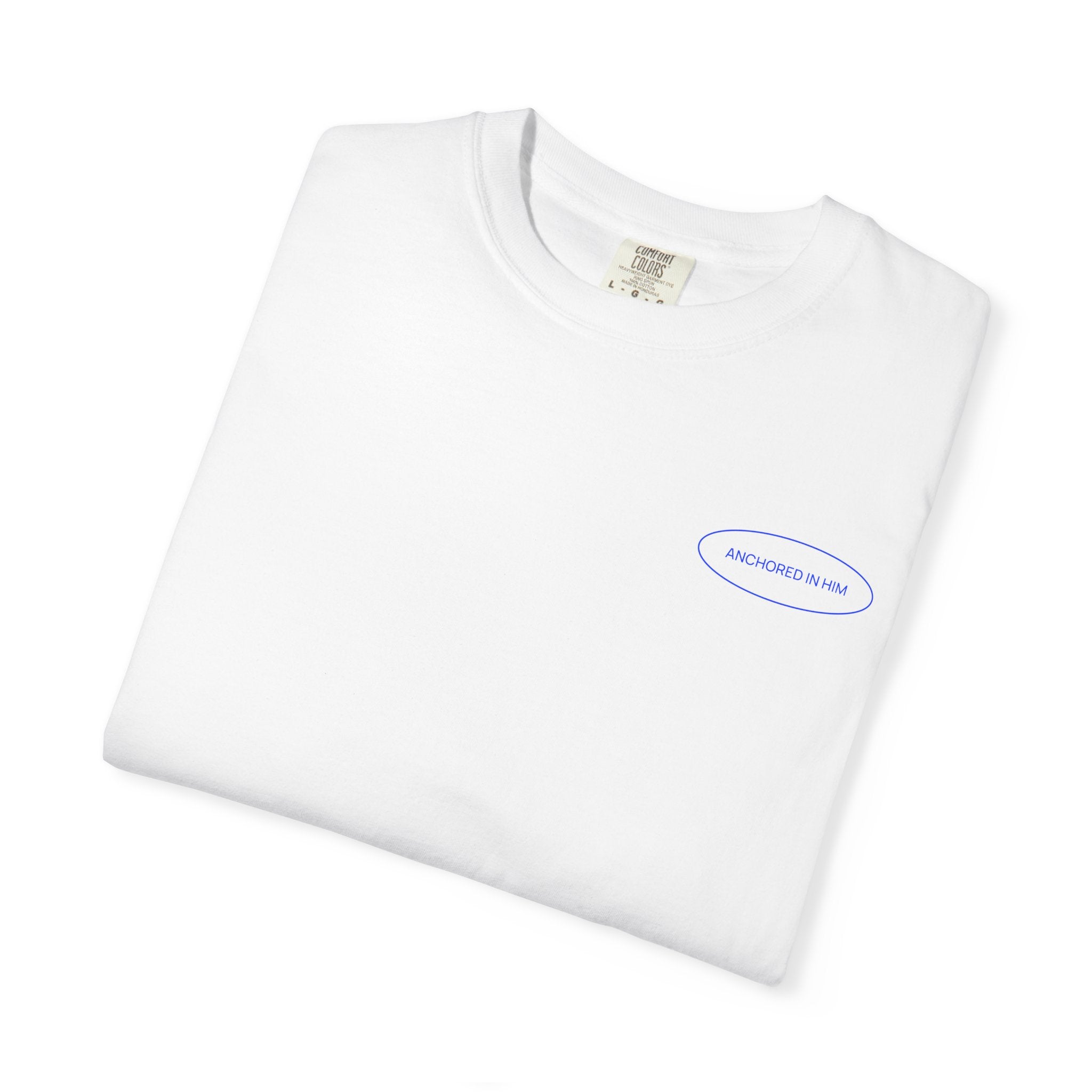 Delayed not Denied - Coastal Heritage Tee